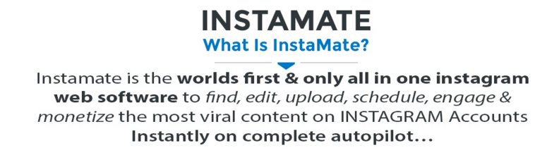 InstaMateDescription2